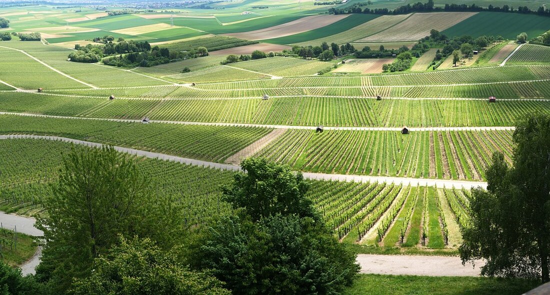 SWR Sommerfestival in Stuttgart künftig alle zwei Jahre: 2025 in Speyer, 2026 wieder in Stuttgart. Erlebe ausgelassene Atmosphäre und spannende Programme!