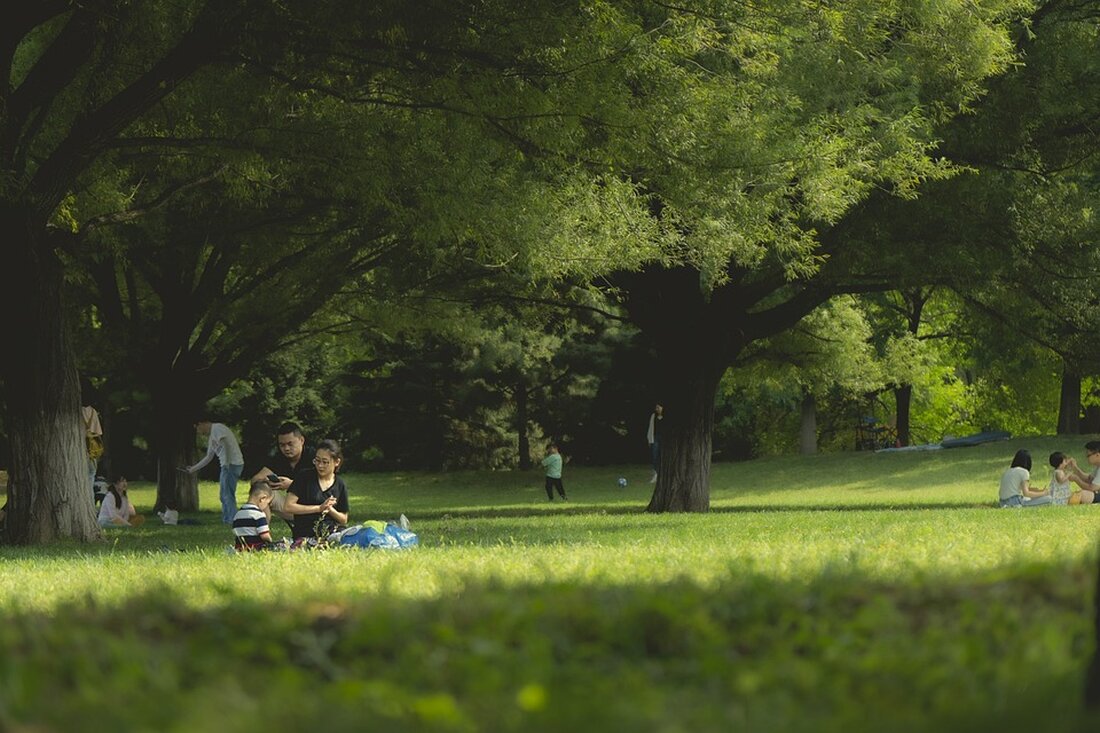 Neue Daten des Zensus 2022 zeigen: 57 % der Familien in Deutschland leben in ihren eigenen vier Wänden. Erfahren Sie mehr dazu in der aktuellen Veröffentlichung des Statistischen Bundesamts.