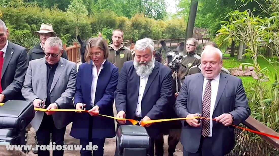 Der Leipziger Zoo hat eine neue Anlage in Südamerika in Betrieb genommen. Tiere aus den südamerikanischen Landschaften der Pampa, Pantanals und Patagoniens haben in der Gegend ein neues Zuhause gefunden. Alle Informationen: http://www.radiosaw.de/sued Amerika-welt-im-leipziger-zoo-eroeffnet. Youtube-Link