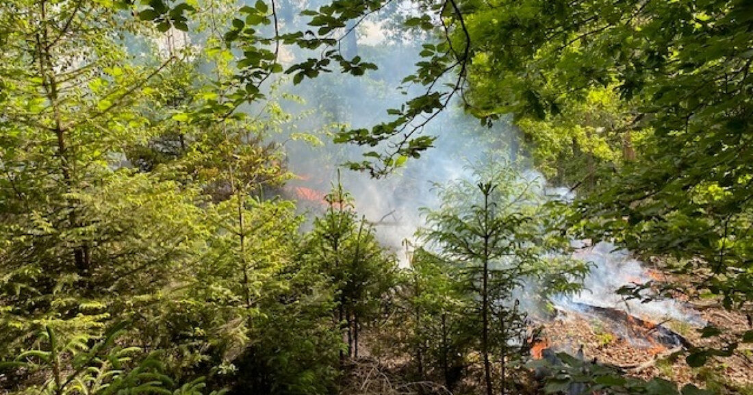 Am 17.05.2025 brach in Hermeskeil ein Brand in einem Waldgebiet aus. Die Feuerwehr konnte das Feuer schnell löschen. Ursache könnte fahrlässige Brandstiftung sein.