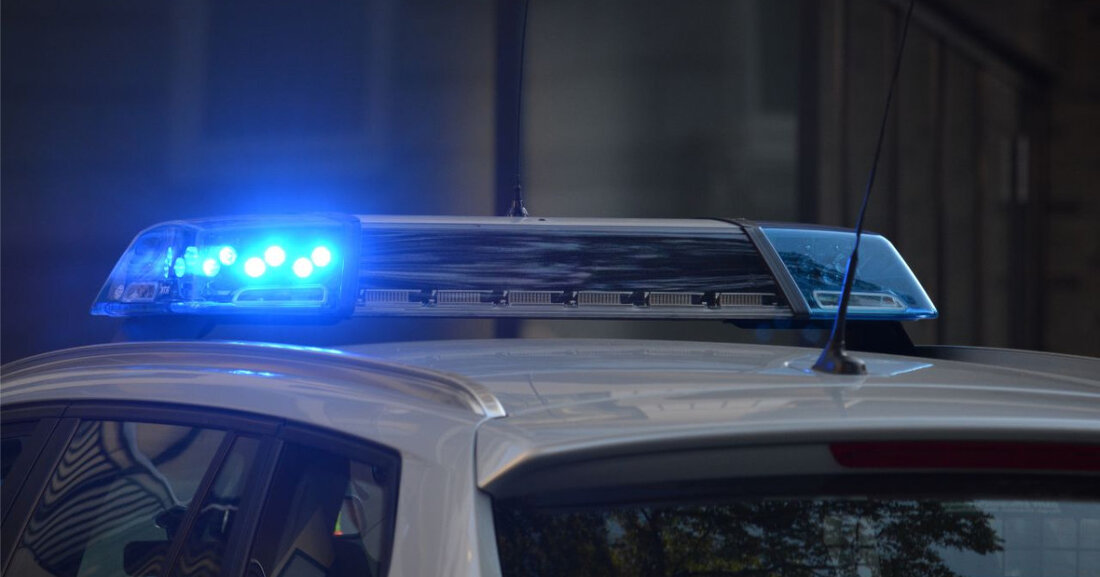 Erfahren Sie, wie Entenküken in städtischen Gebieten geschützt werden und welche Rolle der Mensch dabei spielt. Aktuelle Fälle und Lösungen.