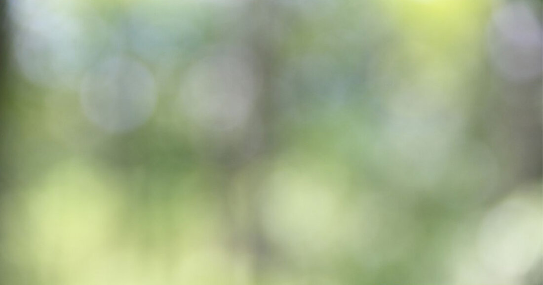 Thomas Gottschalk feiert am 18. Mai 2025 seinen 75. Geburtstag und kündigt seinen Abschied aus der Samstagabendunterhaltung an.