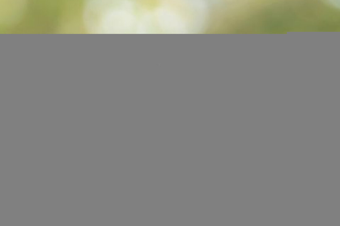 Erfahren Sie alles über das vollelektrische SUV VW ID.4 Pro, seine Leasingkonditionen und Vorteile. Ideal für Privatkunden!