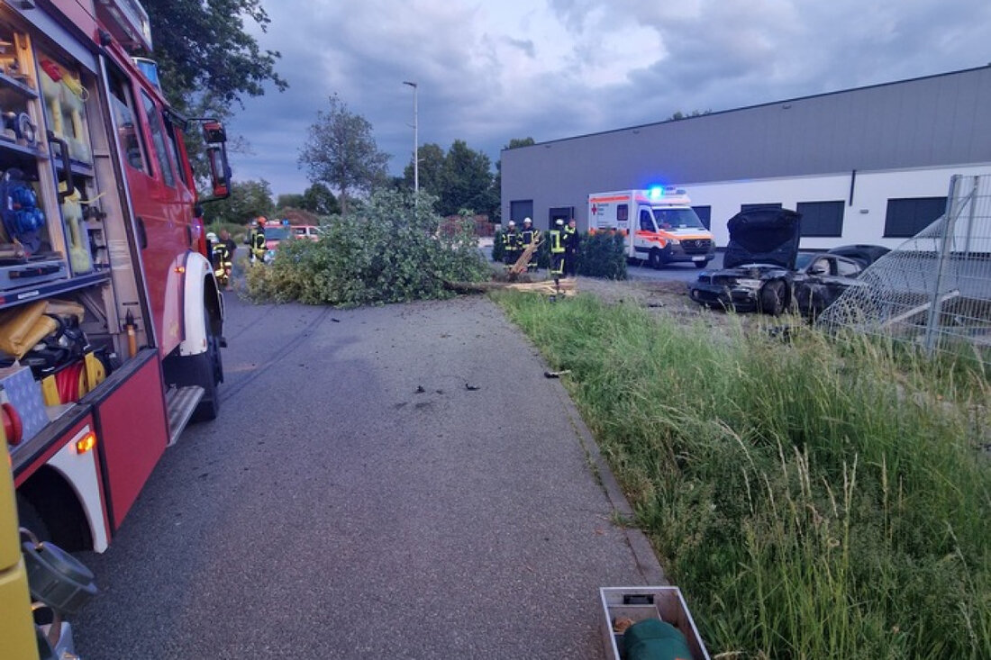 Am Dienstagabend alarmierte die Feuerwehr Celle zu einem Verkehrsunfall in der Hanns-Martin-Schleyer-Straße. Keine Personen waren eingeklemmt.
