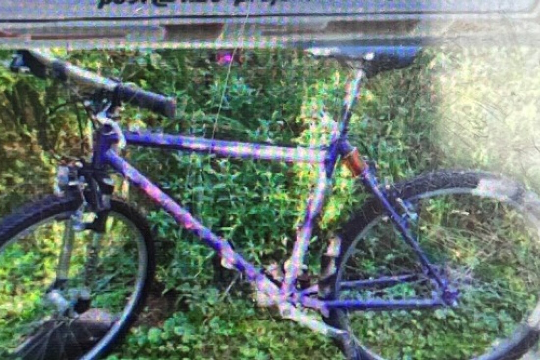 Die Polizei sucht nach einer 22-jährigen Vermissten aus Einbeck, die dringend medizinische Hilfe benötigt. Hinweise bitte melden!