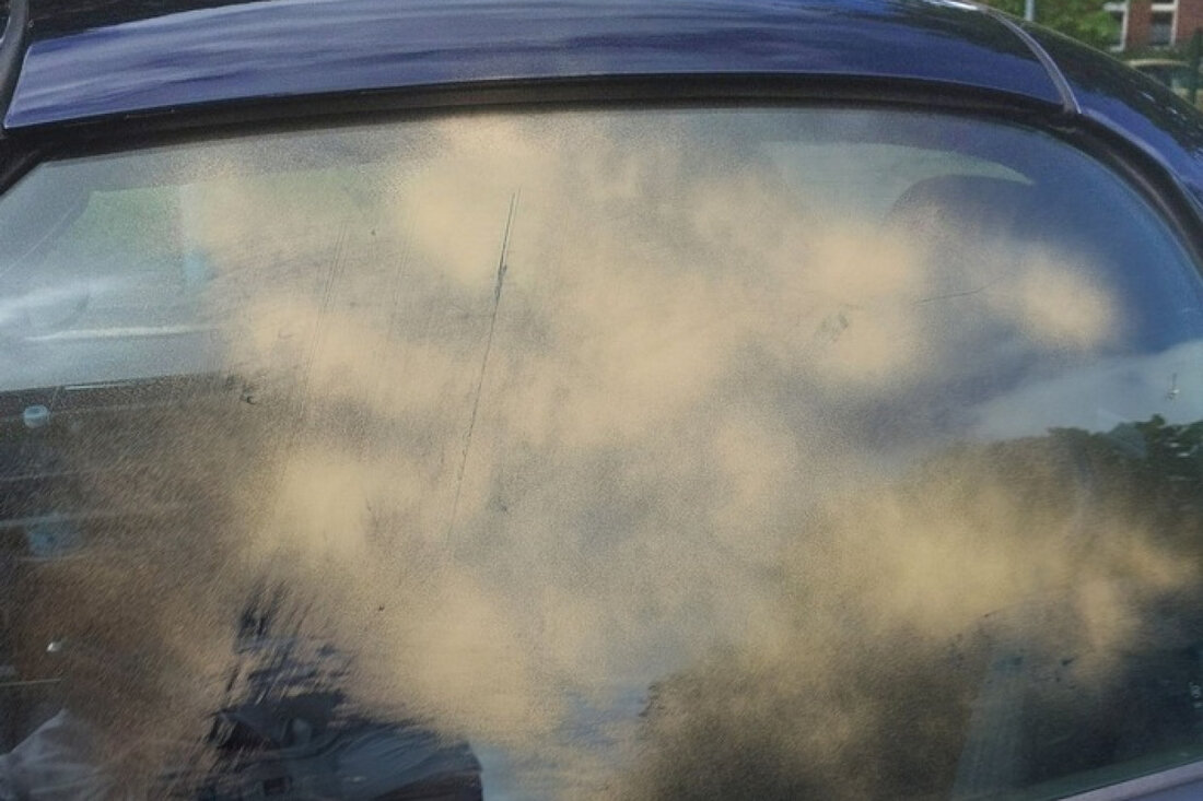 Nach Graffiti-Angriff auf Fahrzeuge in Rendsburg sucht die Polizei Zeugen oder Hinweisgeber. Hinweise bitte an 04331-2080.