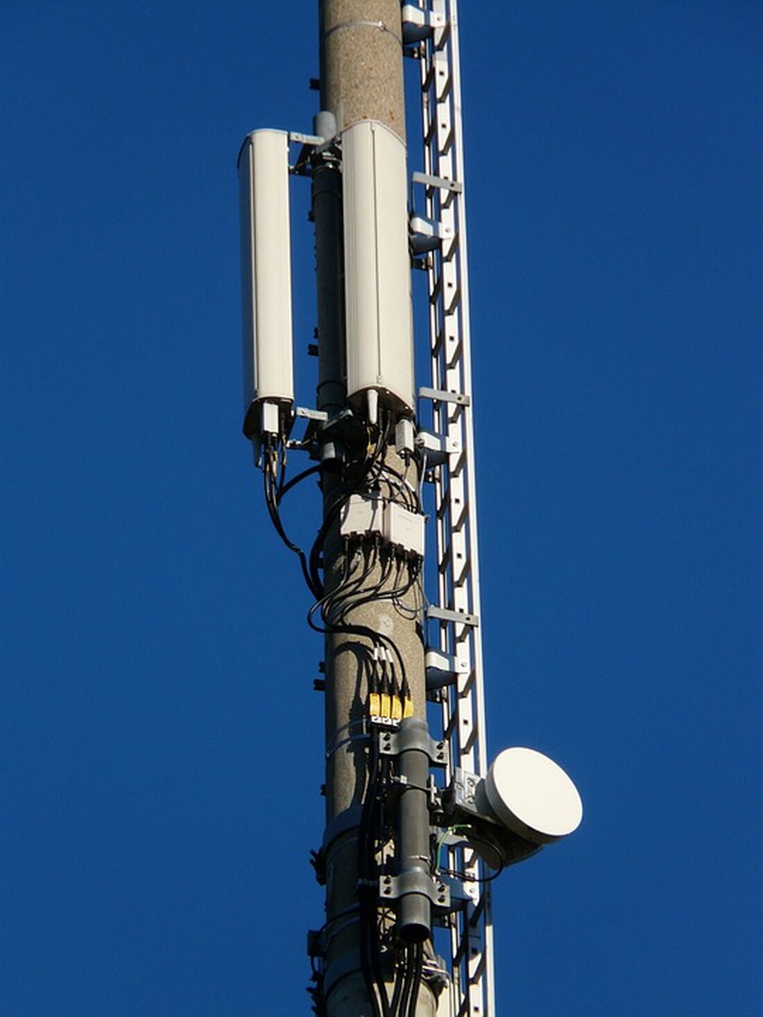 Optimierte Meta-Beschreibung:
"Die Telekom hat die Mobilfunkversorgung im Landkreis Havelland verbessert: Mit neuen LTE- und 5G-Standorten in Nauen und Falkensee steigt die Abdeckung und Bandbreite. Erfahren Sie mehr über die geplanten Erweiterungen und die Zusammenarbeit mit Kommunen zur Verbesserung der Netzqualität bis 2026."