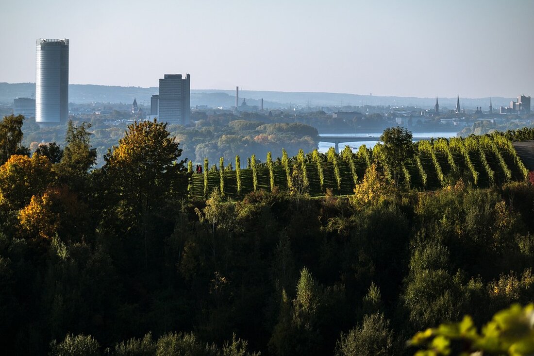 In Bonn sind weder Bahn noch Auto geeignete Verkehrsmittel. Erfahren Sie, warum weder die Deutsche Bahn noch das Auto die beste Wahl sind, um in Bonn voranzukommen. Ein spannender Einblick in die Verkehrsprobleme der Stadt.