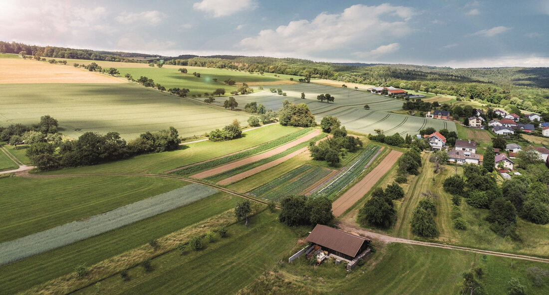 Titel: 7,3 Millionen Euro für innovative Agrarprojekte – Europa fördert Nachhaltigkeit und Produktivität in der Landwirtschaft Untertitel: Europäische Innovationspartnerschaft unterstützt Wissenschaft und Praxis in einem gemeinsamen Vorhaben Das Land hat angekündigt, im Rahmen der Europäischen Innovationspartnerschaft „Produktivität und Nachhaltigkeit in der Landwirtschaft“ insgesamt 7,3 Millionen Euro für innovative Ideen bereitzustellen. Diese Initiative zielt darauf ab, neue Ansätze in der Agrarwirtschaft zu fördern, die sowohl die Produktivität als auch die Nachhaltigkeit verbessern. Die Förderung wird speziell Projekte unterstützen, die eine enge Zusammenarbeit zwischen wissenschaftlichen Institutionen und der landwirtschaftlichen Praxis ermöglichen. Die Entscheidung, diese finanziellen Mittel zur Verfügung zu stellen, ist Teil …