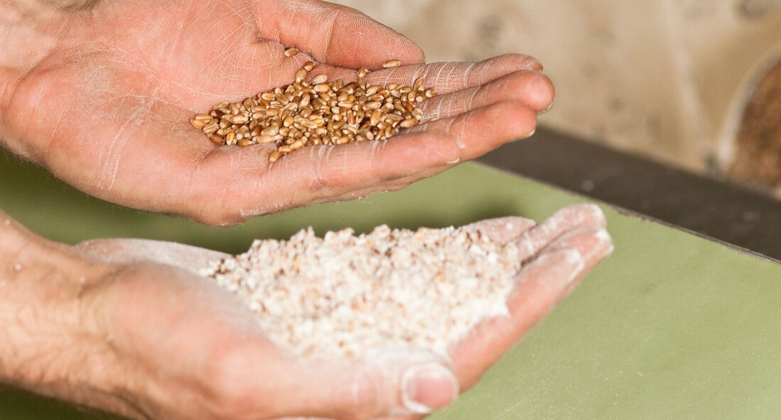 Am 20. Mai öffnen zahlreiche Mühlen zum Deutschen Mühlentag und lassen Einblicke in traditionelle Handwerkskunst und regionale Spezialitäten zu. Dieser Tag soll zu einer Renaissance von traditionellen Produkten in einer globalisierten Welt beitragen. Peter Hauk, Minister für Ernährung, Ländlichen Raum und Verbraucherschutz, betont die Bedeutung von Mühlen als Orte, an denen Qualität und Geschmack im Vordergrund stehen. Besucher haben die Möglichkeit, regionale Spezialitäten zu entdecken, die das Genießerland Baden-Württemberg zu bieten hat. In Baden-Württemberg sind Mühlen seit der Römerzeit verankert und zählen zu den ältesten Kulturtechniken. Heutzutage haben sich viele Mühlen zu modernen Lebensmittelunternehmen entwickelt, die den Besuchern ein breites …