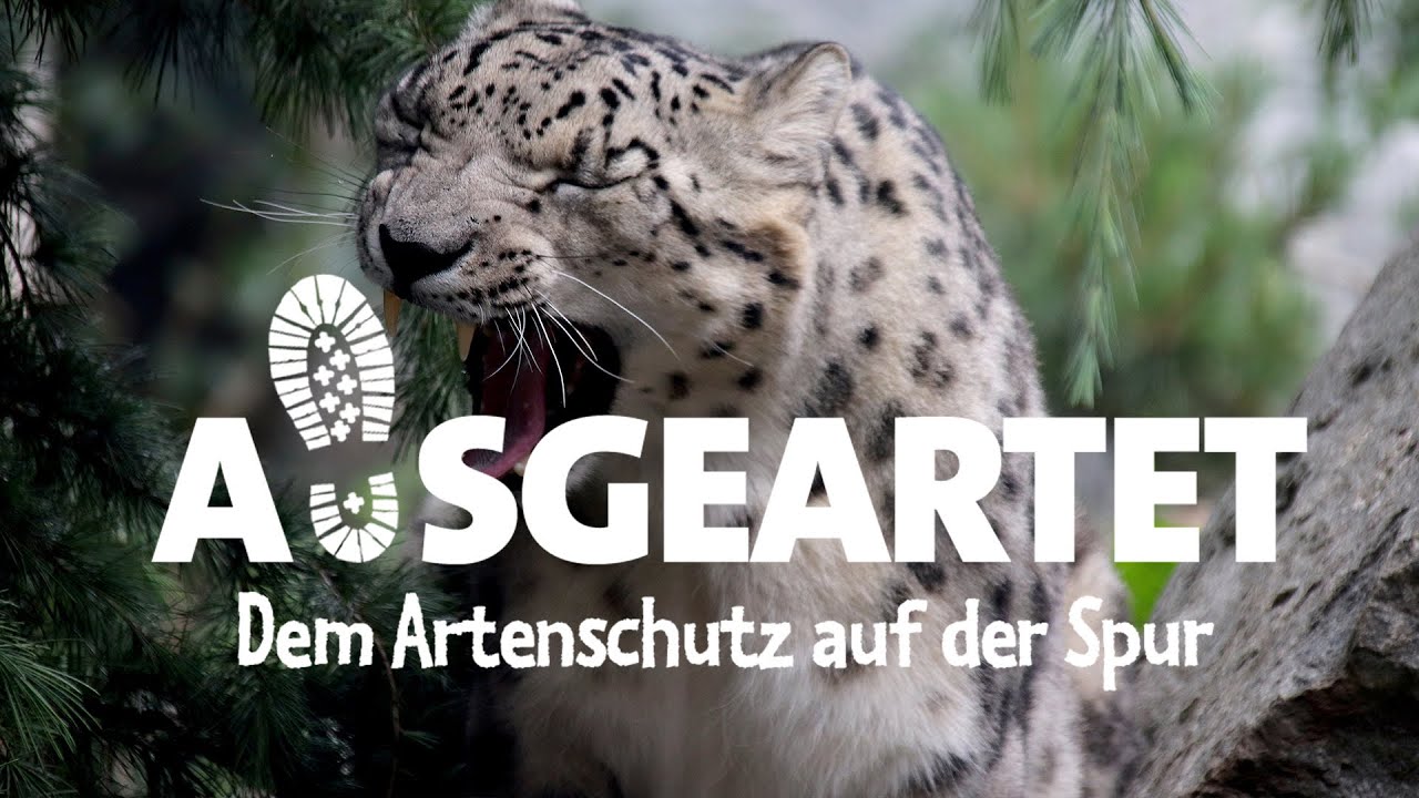DEGENTS - Folge 5: Mit Maria Raitzig auf den Spuren der Schneeleoparden
