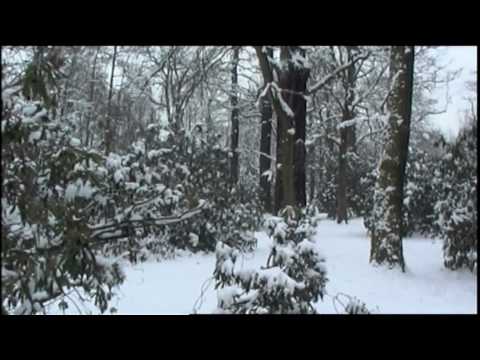 Winter in Leipzig