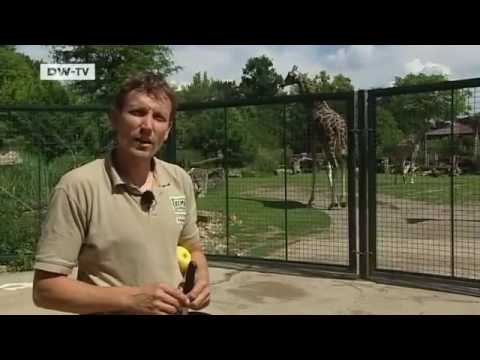Global 3000 | Fragebogen - Marco Mehner, Tierpfleger aus Leipzig