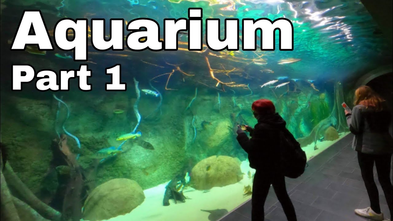 Ein Tag im Zoo Teil 1 Aquarium