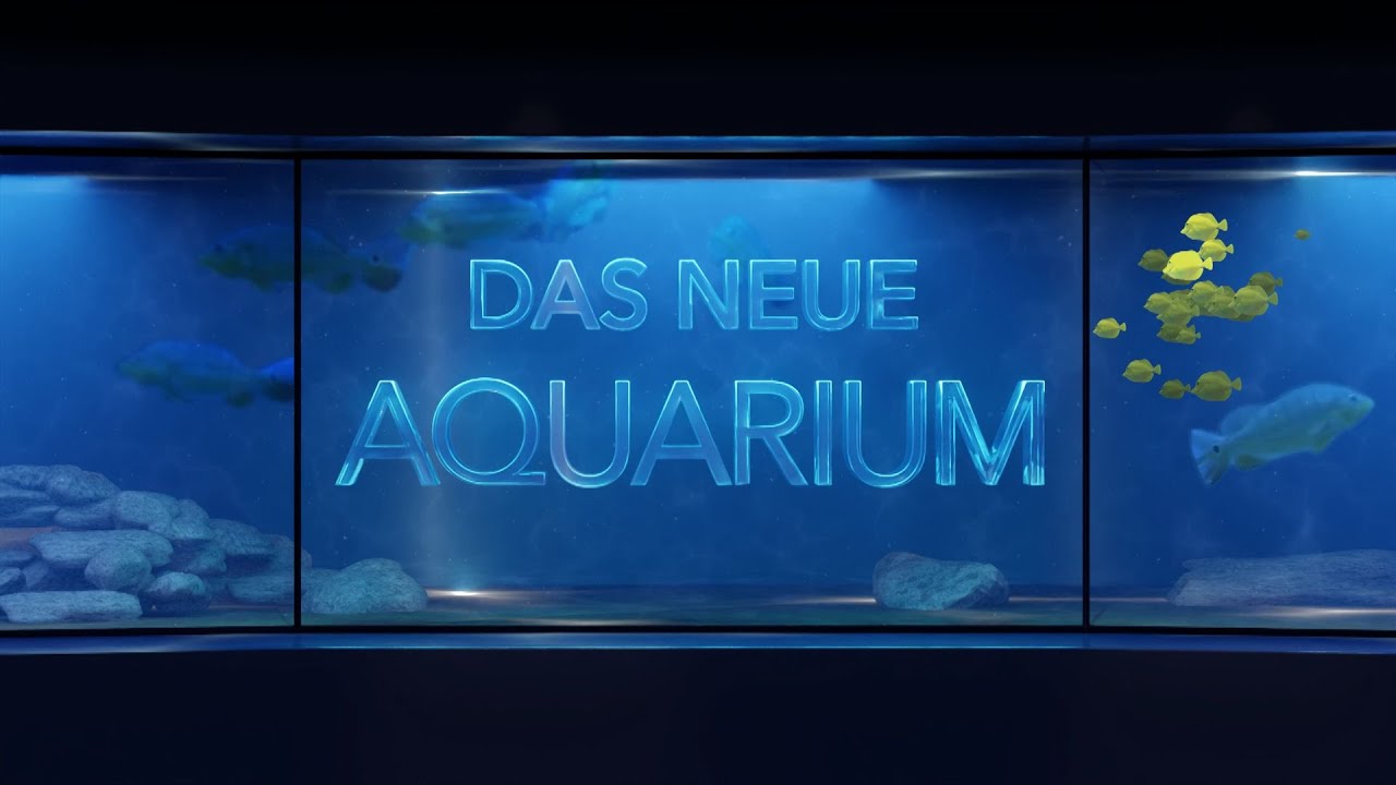Elefant, Tiger & Co. - Spezial | Das neue Aquarium | MDR