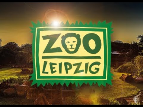 Zoo Leipzig Juli 2022