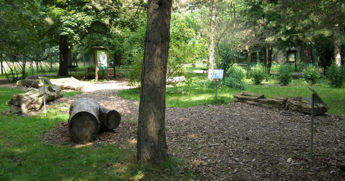 Sanierung der Waldwege in Connewitz: Mühlholz und Wildpark werden grundlegend instandgesetzt
