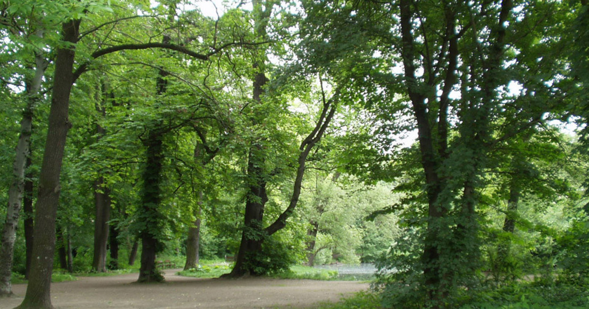 Abtnaundorfer Park: Erneuerung des Grabensystems bis Mitte April 2024 vollendet