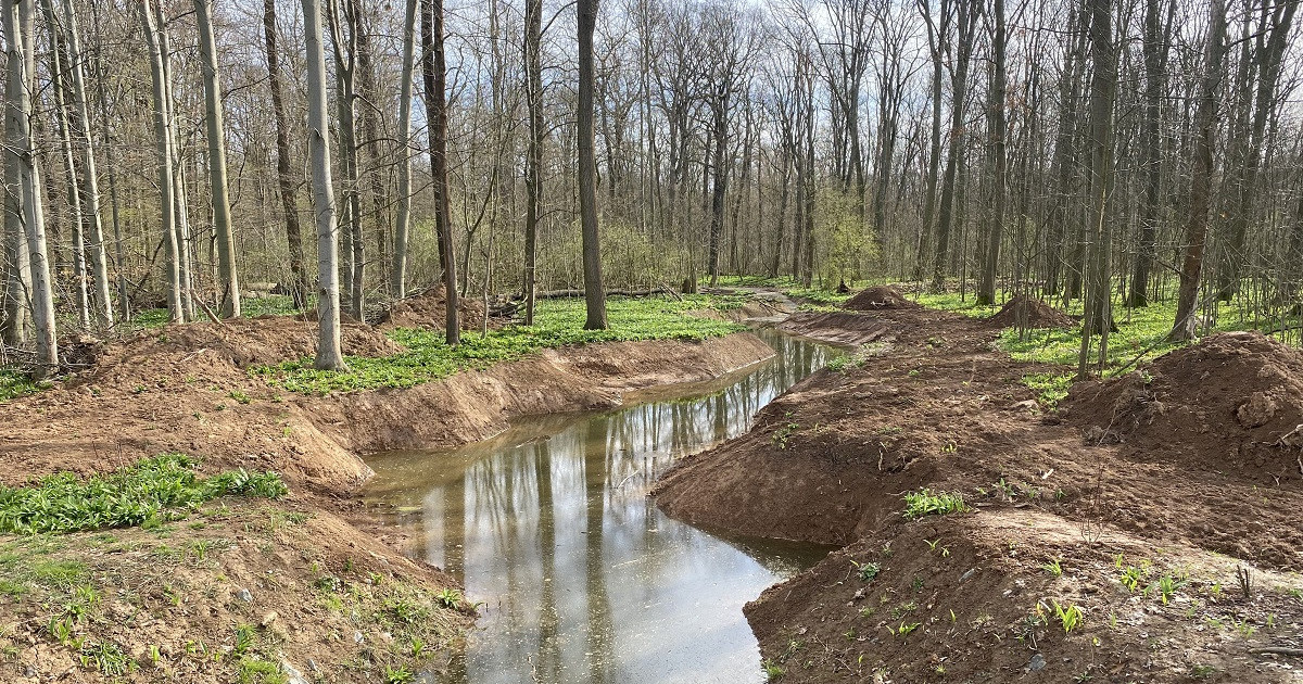 "Burgauenbach im nordwestlichen Auwald wird wieder geflutet"