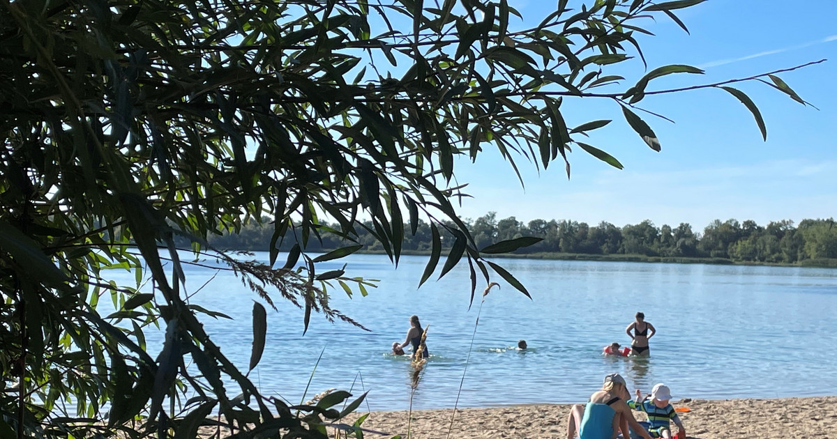 Wasserqualität in Leipziger Badeseen 2024: Experten bestätigen Top-Qualität!
