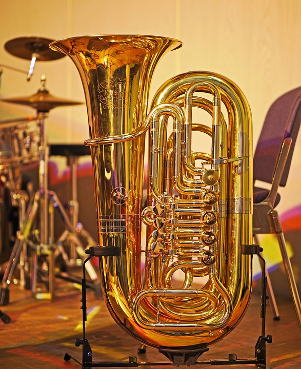 „Tuba Vibes Project: Freie Open-Air-Konzerte im Ökowerk und Jagdschloss“