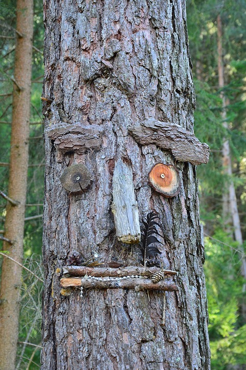 Wunschbaum in Spandau: Tierheim unterstützen und Wünsche erfüllen!