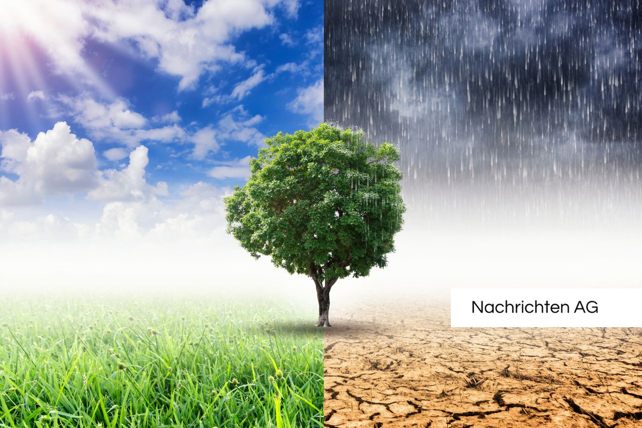 Naturschutz-Offensive: Berliner Moor wird zum Lebensraum für bedrohte Arten!