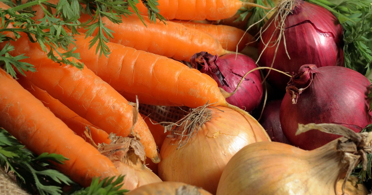 „Leipzig startet Ernährungsstrategie: Bürgerbeteiligung für gesunde Zukunft“