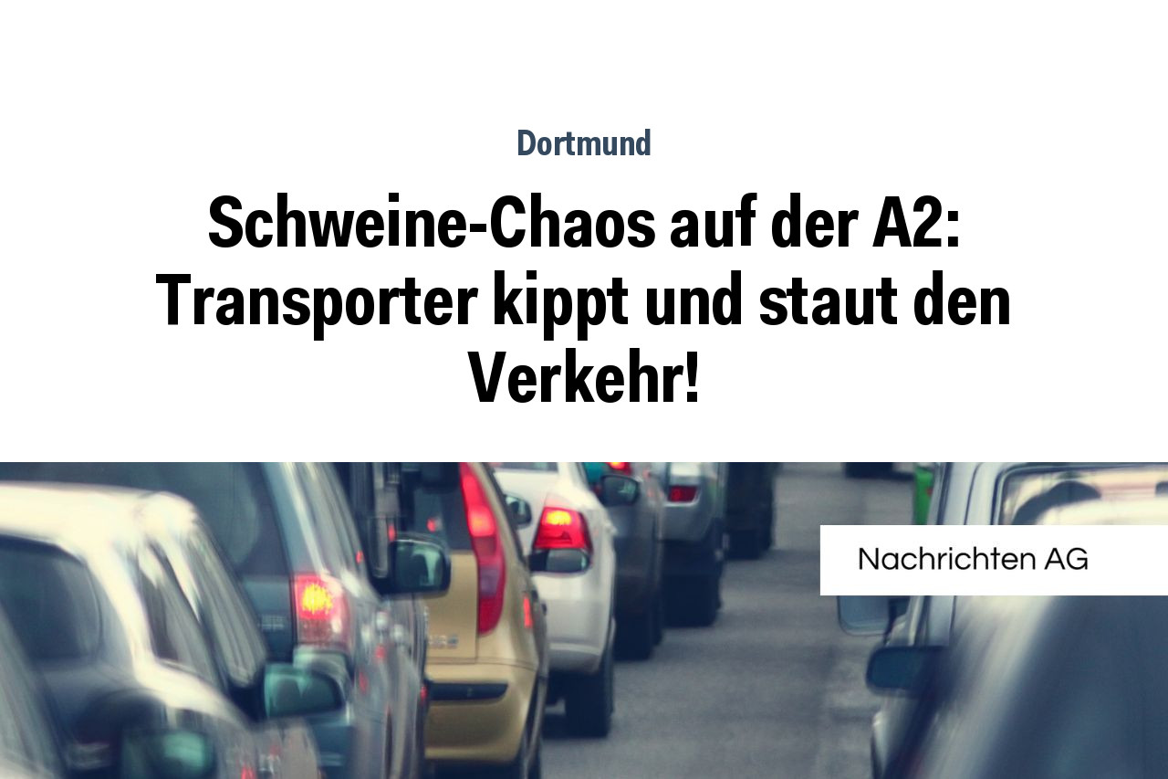 Schweine-Chaos auf der A2: Transporter kippt und staut den Verkehr!