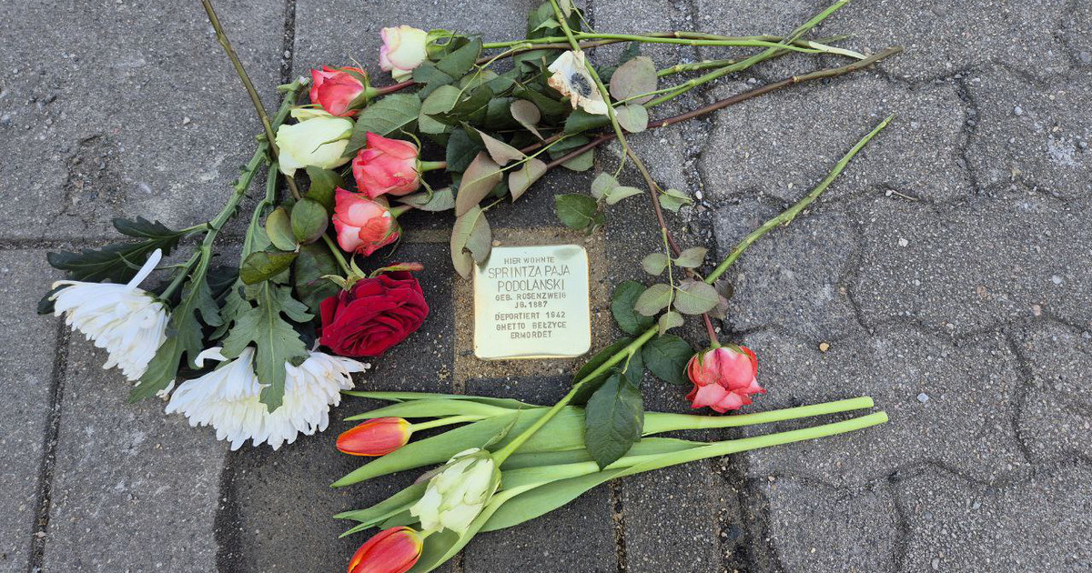 Leipzig gedenkt: 800. Stolperstein für Opfer der NS-Diktatur verlegt