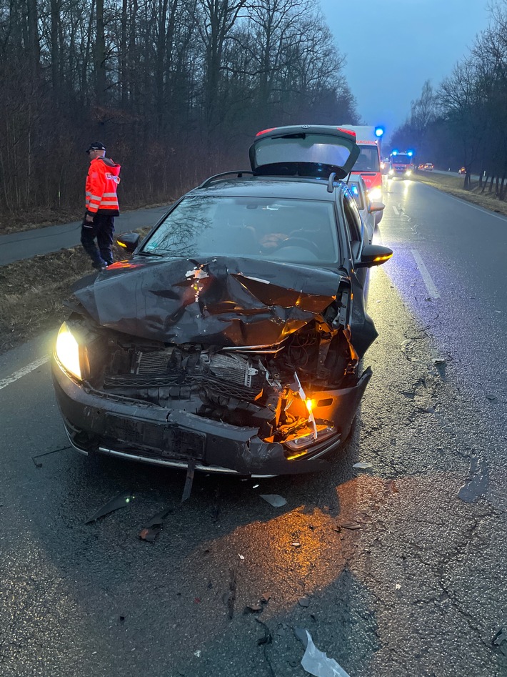 Wildschweine überqueren Straße: Crash und Verletzte in Erfurt!