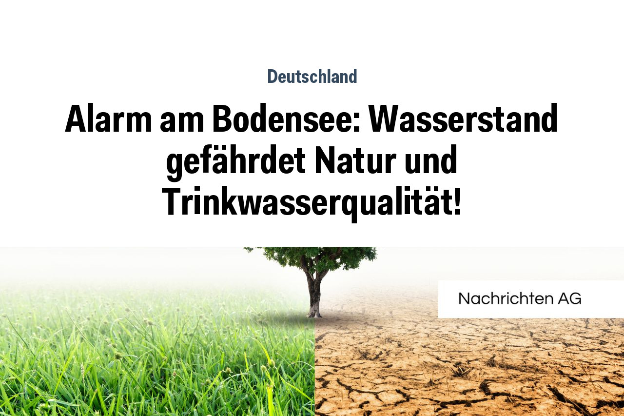 Alarm am Bodensee: Wasserstand gefährdet Natur und Trinkwasserqualität!