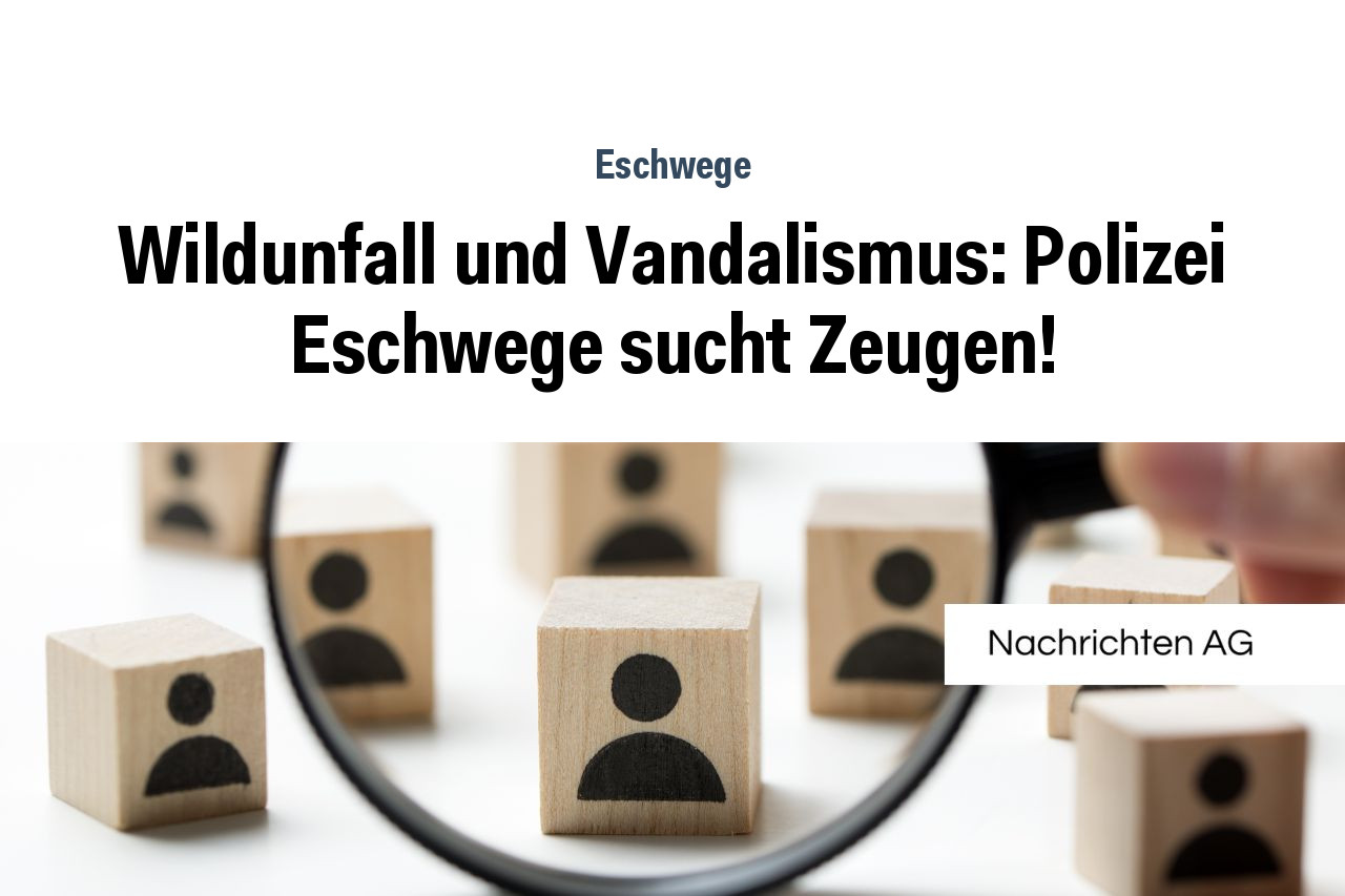 Wildunfall und Vandalismus: Polizei Eschwege sucht Zeugen!