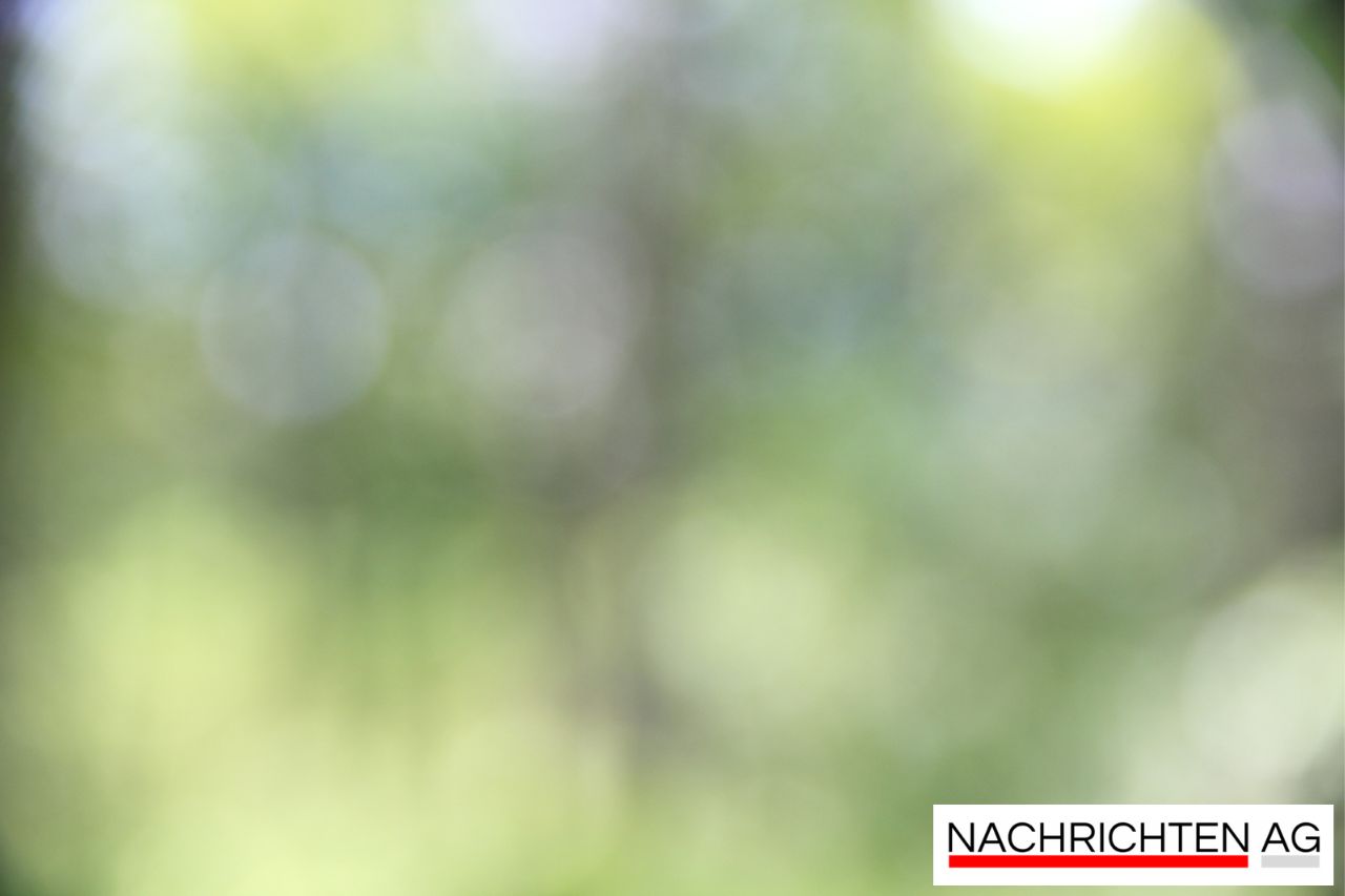 Fassungslosigkeit: Drei Hähne vor Tierheim Erlangen ausgesetzt!