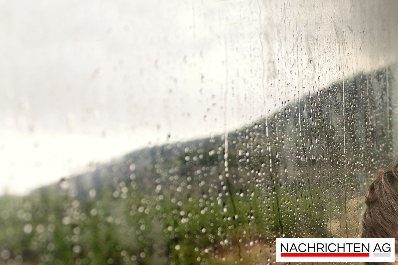 Bella, die Bahn-Besucherin: Hündin entläuft und wird mit Würstchen gefangen